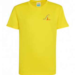 Tan Y Lan Primary PE Top