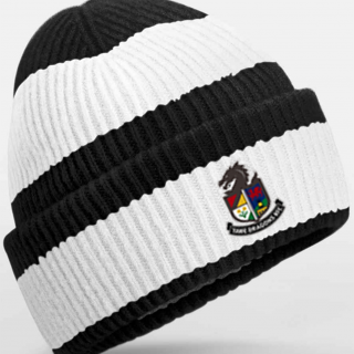 Tawe Dragons Block Beanie