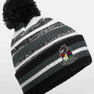 Tawe Dragons Fan Bobble Hat Tawe Dragons Fan Bobble Hat