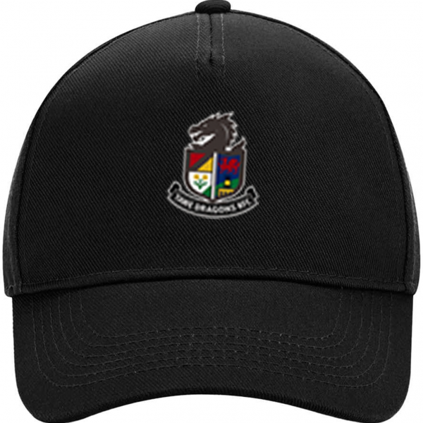 Tawe Dragons Cap Tawe Dragons Cap